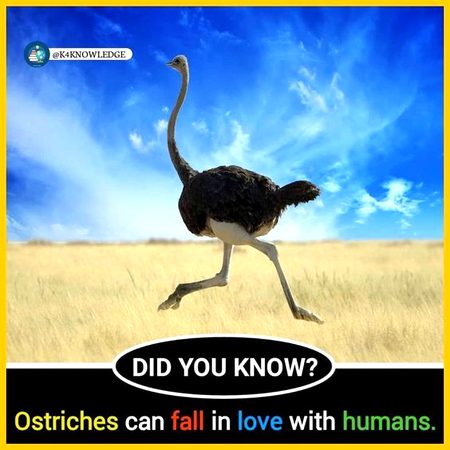 Did You Know