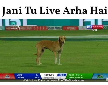 Sun oye tu he h