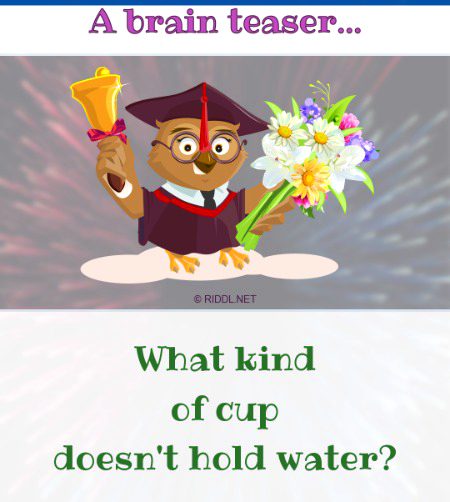 Riddles & Puzzles image