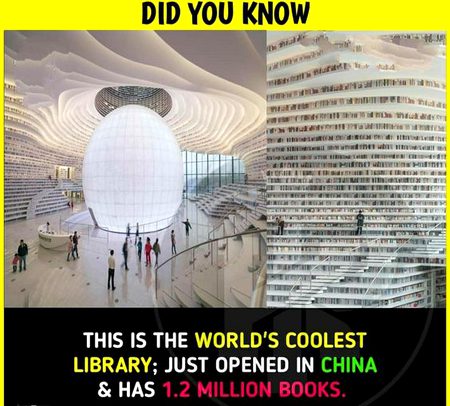 Did you Know