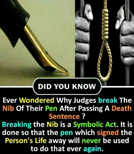 Did  you Know