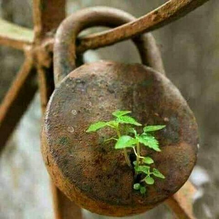 اتنی تاخیر نا کیجیے لوٹنے میں
کے چابیاں بے اثر ہوجائیں تالوں پر
