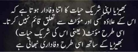 ٹرک information