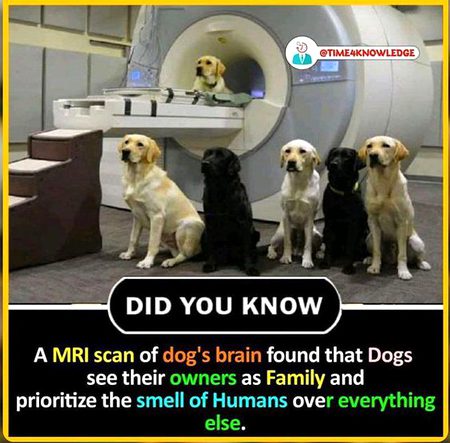 Did you Know