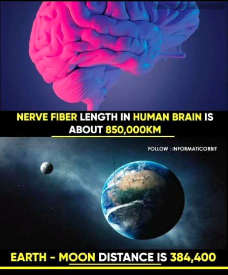 Completely mind blowing 💀