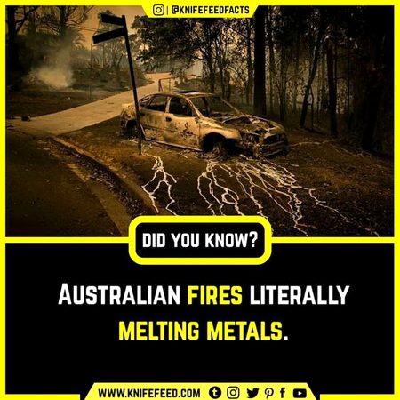 Did you Know