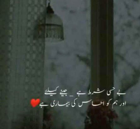 ﺟﻮﻕ ﺩﺭ ﺟﻮﻕ ، ﺗﻤﻨﺎﺅﮞ ﮐﮯ ﺩﻫﻮﮐﮯ ﮐﻬﺎ ﮐﺮ
ﺩﻝ ﺍﮔﺮ ﺍﺏ ﺑﻬﯽ ﺩﻫﮍﮐﺘﺎ ﮨﮯ ﺗﻮ ﺣﺪ ﮐﺮﺗﺎ ﮨﮯ
￼