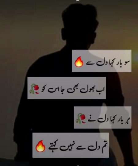 ....⁦❣️⁩⁦❣️⁩⁦❣️⁩⁦❣️⁩....