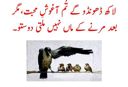 100% true