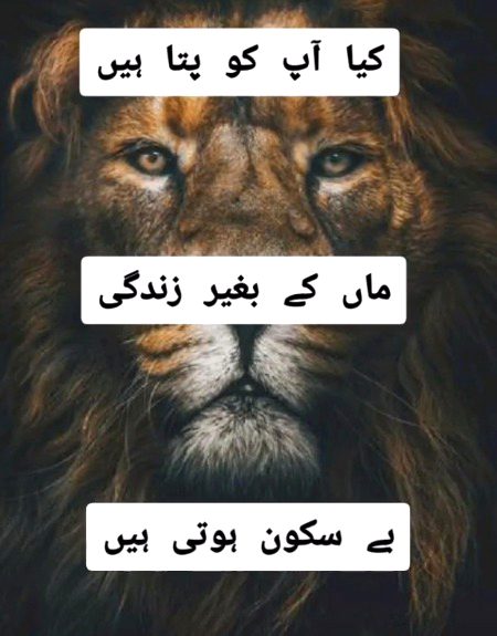 Bilkul 💯💯💯