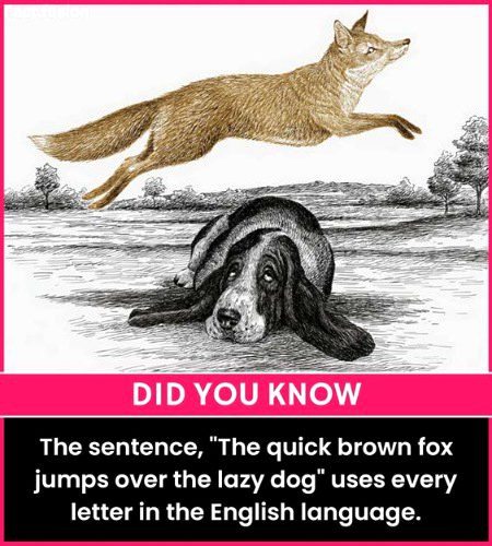 Did you Know