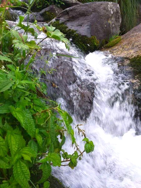 Beautiful click 👀🙂👀