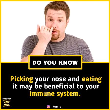 Did you Know