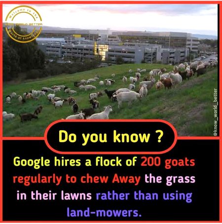 Did you Know