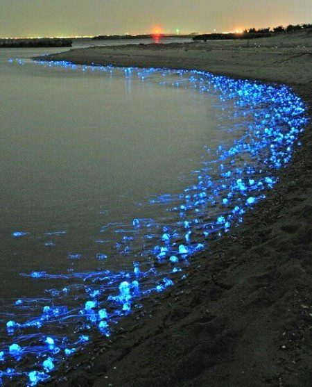 beautiful view of ocean😍