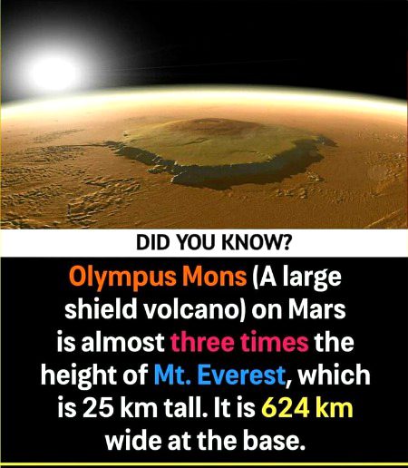 Interesting Posts image