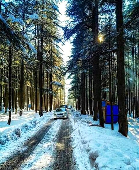 Ushu forest kalam valley swat pAkistan😍😍