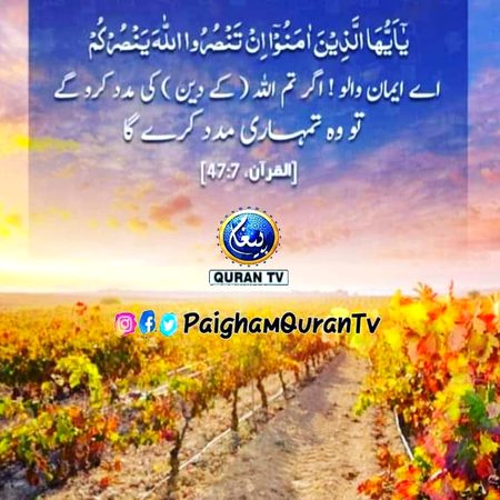 Islamic Quotes image