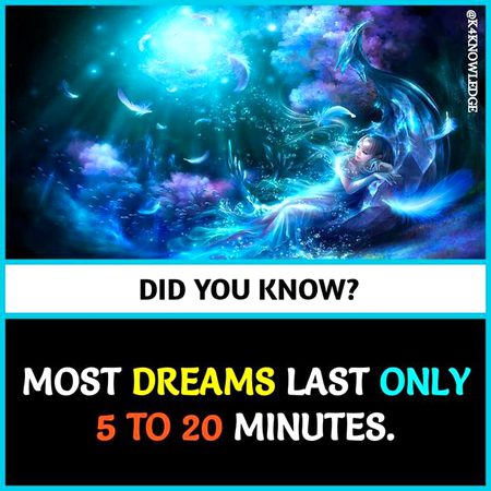 Did you Know