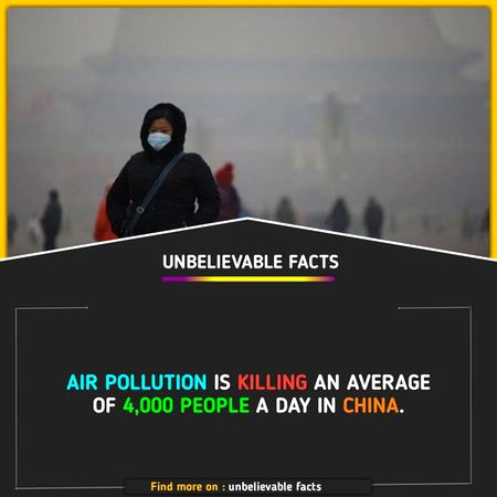 Did You Know