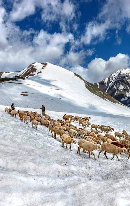 Beautiful neelum valley😍 pakistan