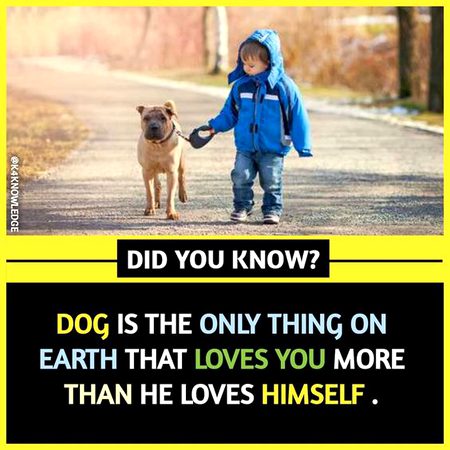 Did you Know