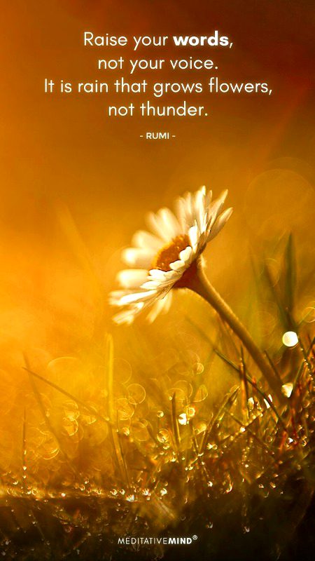 Exactly..There it is