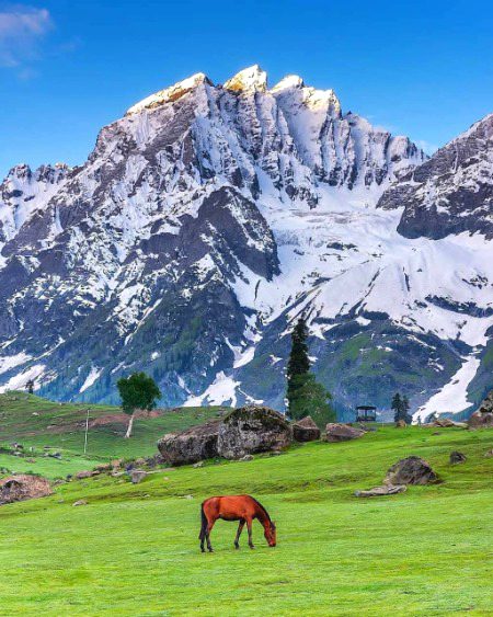 Beautiful Nature image