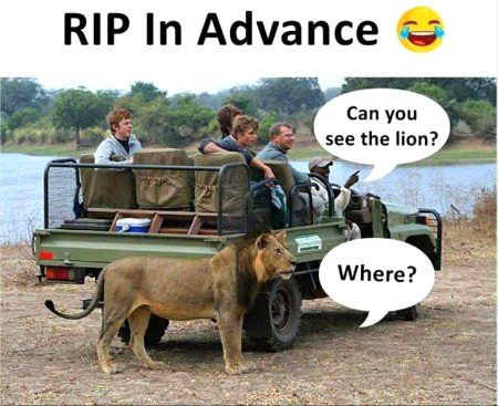 Memes & Satire image