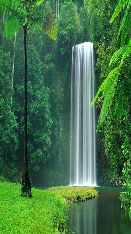 Amazing Place