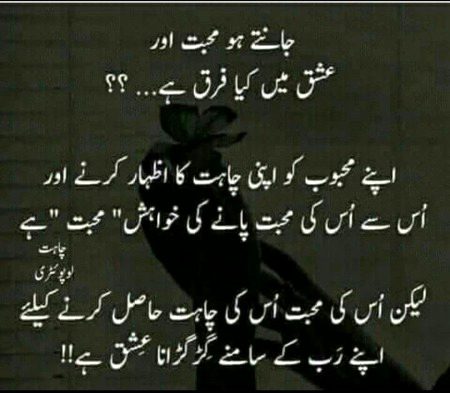 That's called true love 💓