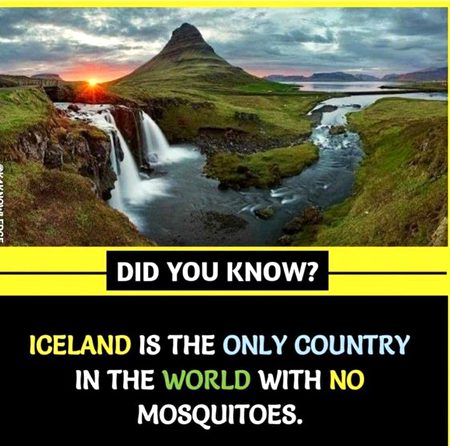 Did You Know