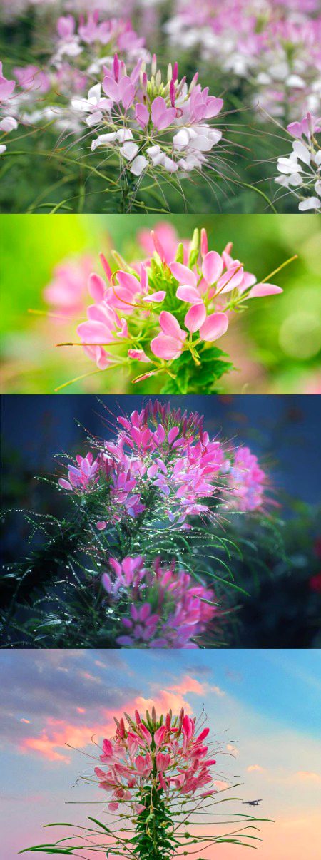 Beautiful Nature image