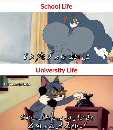 School life ❣️