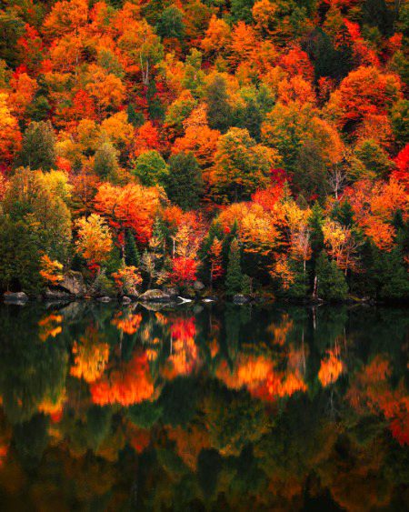 Beautiful Nature image