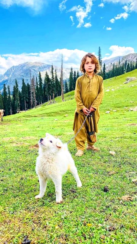 Beautiful pakistan swat😍..