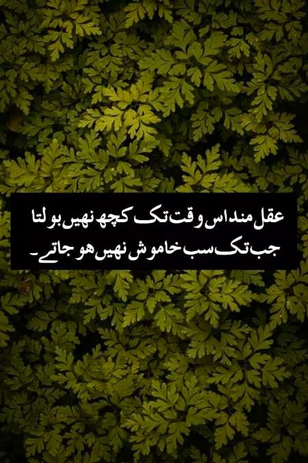 💞Akal mand💯💞