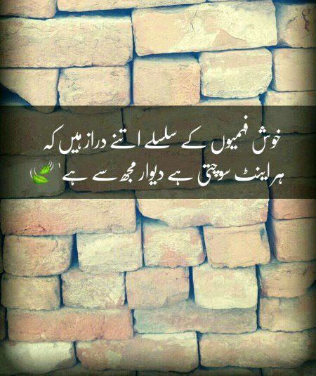 خوش فہمیوں کے سلسلے اتنے دراز ہیں کہ ہر اینٹ سمجھتی ہے دیوار مجھ سے ہے