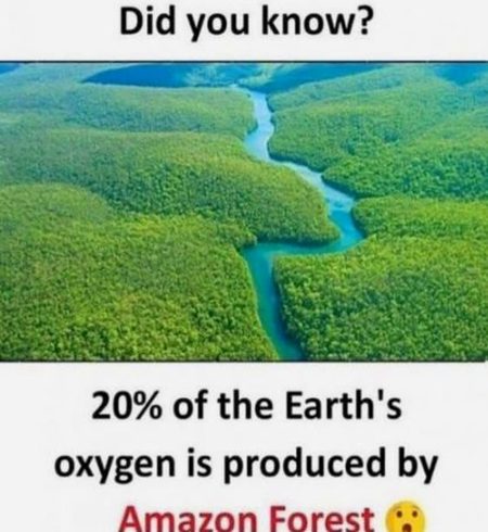 Did you Know