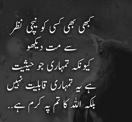 Nice words 👍😍👌😍