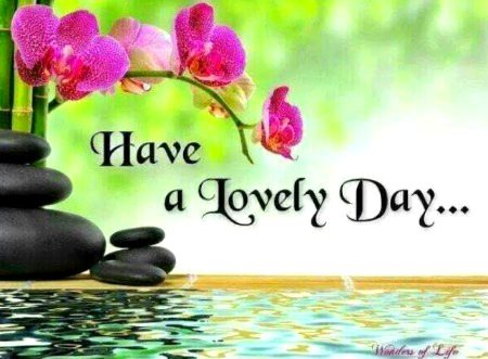 Have a lovely day