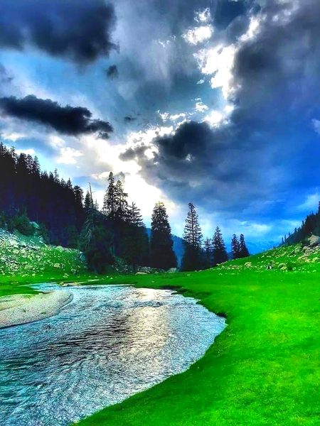 Beautiful Nature image