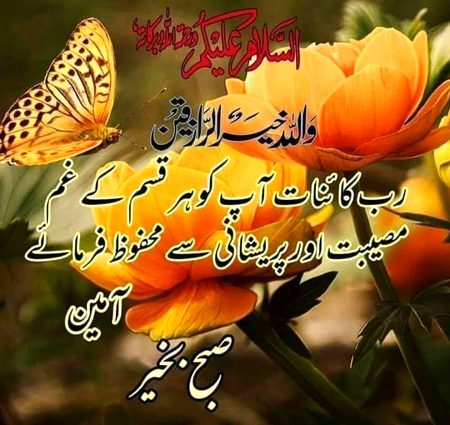 KOIE HY..G