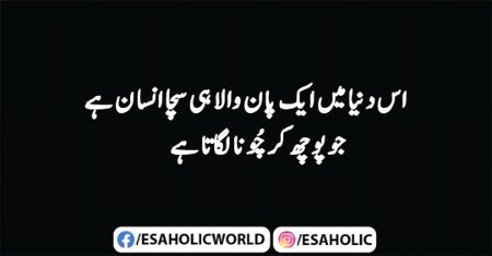 Shah jee.....😘😍😘😍😘😍😘😍😘