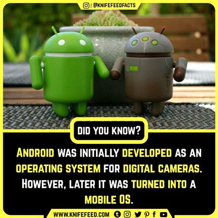 Did you Know