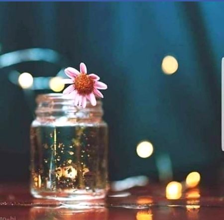 شاخ سے  کٹنے کا ان کو غم تو بہت تھا لیکن پھول مجبور تھے  ہنستے رہے گلدانوں میں.