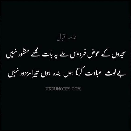 Kamal 💕💕💕💕