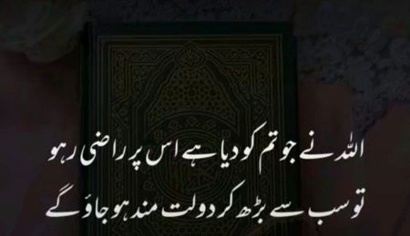 Bilkul 💯💯💯😇