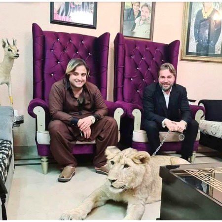 Turkish Celebs image