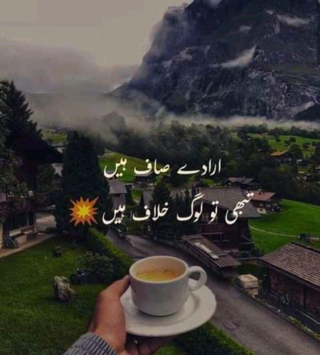 پھر وہی شام ڈھلی رات نہ آیا کوئی 
صبح تک آنکھ میں بھرتا رہا سایا کوئی 
میں بلاؤں تو بھلا کیسے بھلاؤں اس کو 
میری نس نس میں لہو بن کے سمایا کوئی 

عدیل